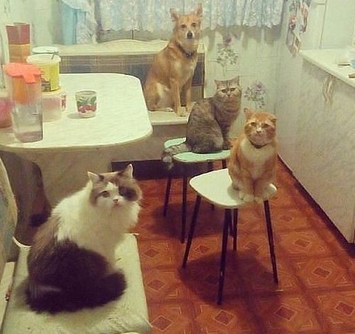 ,       )))