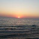  Alex, , 49  -  13  2016    