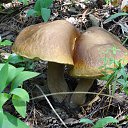 ���� ������, ���������� �����, 74 ���� - ��������� 24 ������� 2016 � ������ ���� ����������