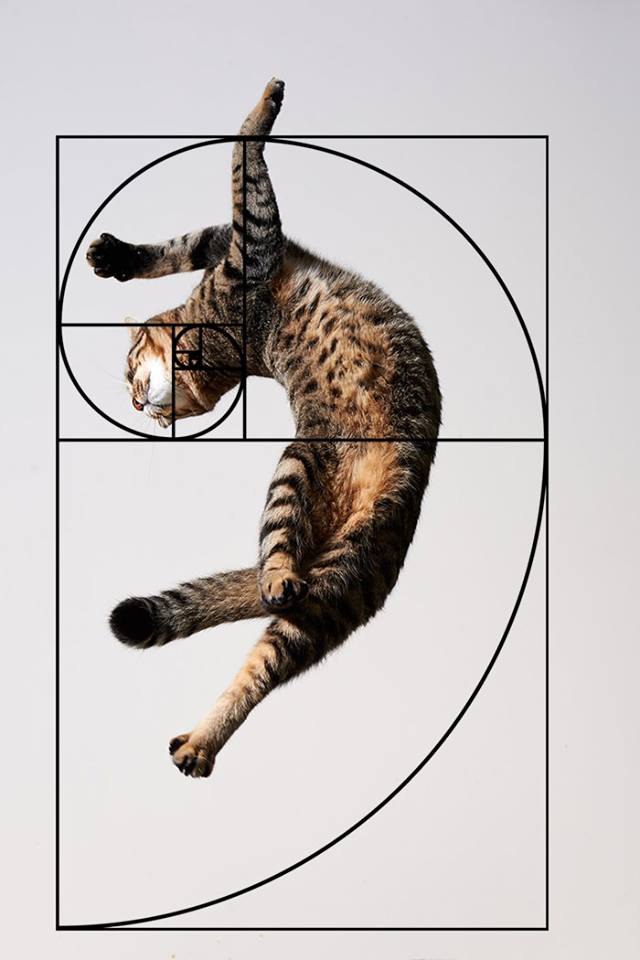 10     ,   .   , ... - 3
