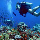 ���� ������, ������ - ��������� 23 ������� 2016 � ������ ����� ��� �������