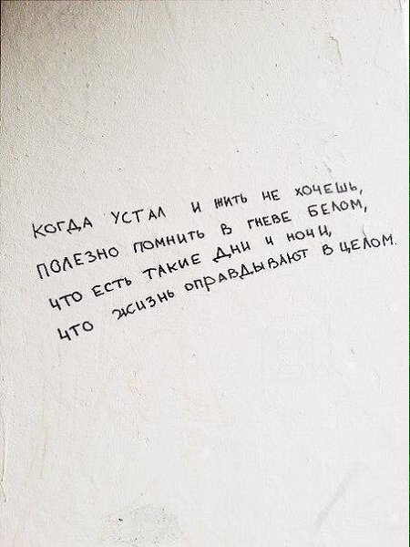  -   - 10  2016  07:51