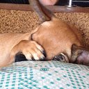 ���� ������, ������ - ��������� 25 ������ 2016 � ������ ���� ����������