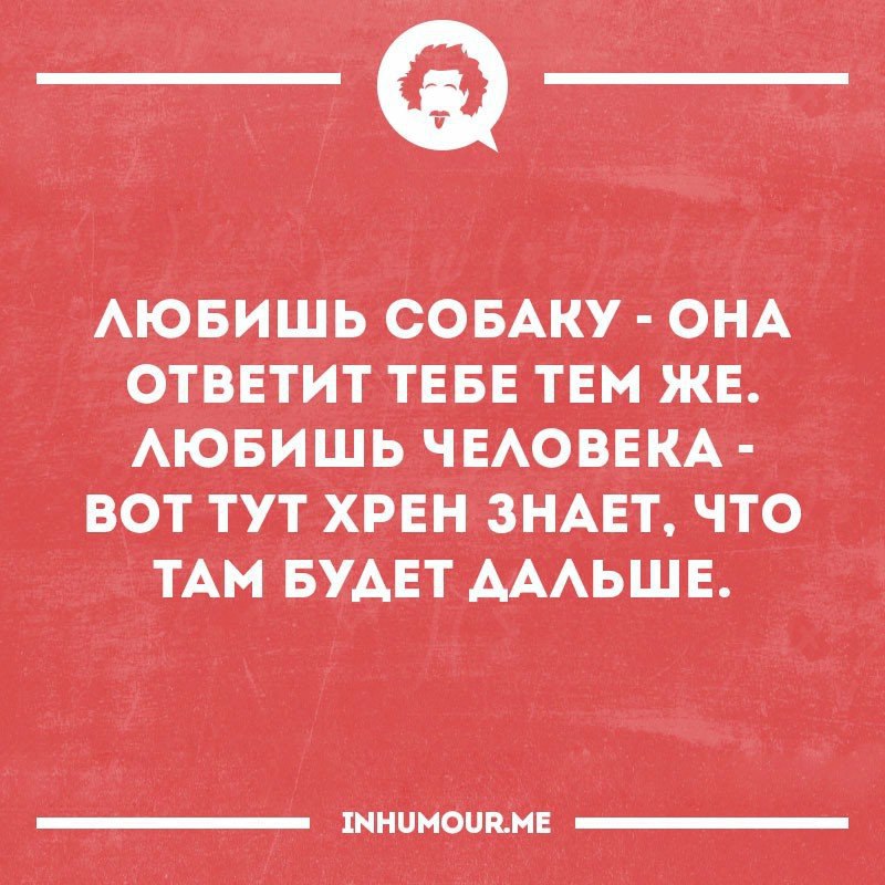   - 1  2016  02:23