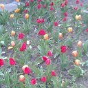 ���� ����, ������, 72 ���� - ��������� 27 ����� 2017