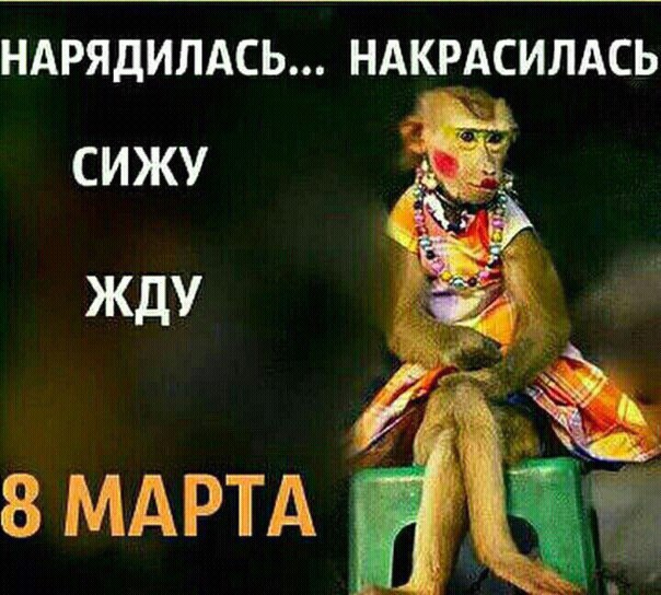        - 4  2017  11:29