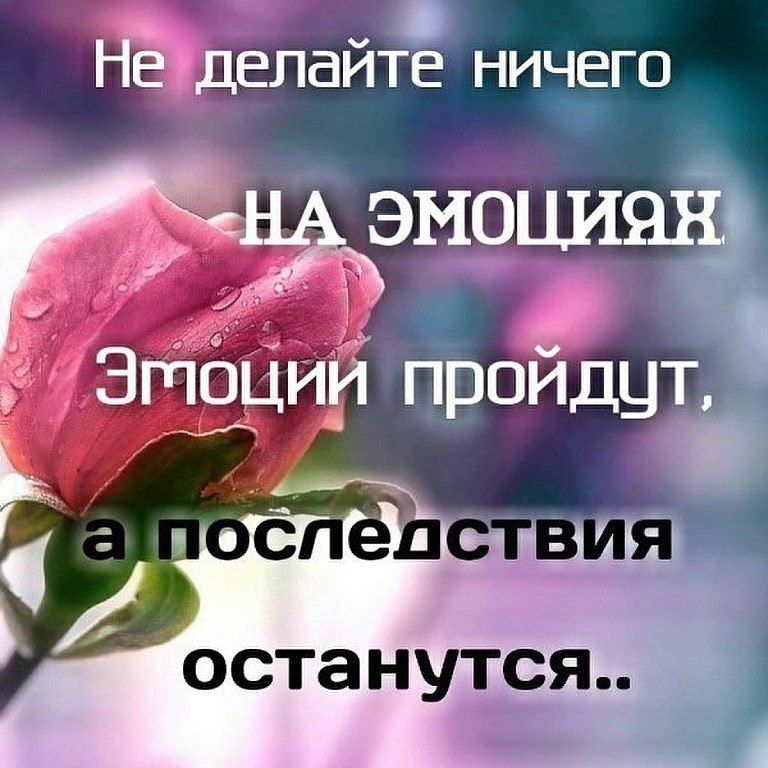 .https://fotostrana.ru/away?to=/sl/kxC2 - 11  2016  10:18