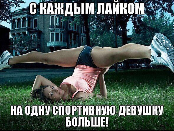  -   - 5  2017  16:06