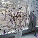 ���� ����, ���� - ��������� 24 �������� 2016 � ������ ���� ����������