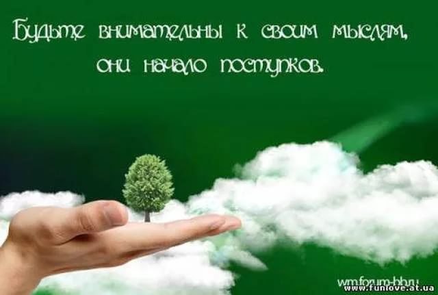 ������� ���� ������������� ����. ����� �� ���� ��������, ������� ����������� ������� � ������, ... - 49