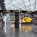 ���� ����, ������������, 59 ��� - ��������� 15 ����� 2017 � ������ ���� ����� 2017�