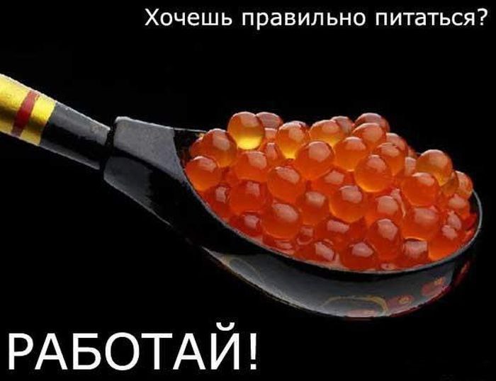   - 2  2016  11:30