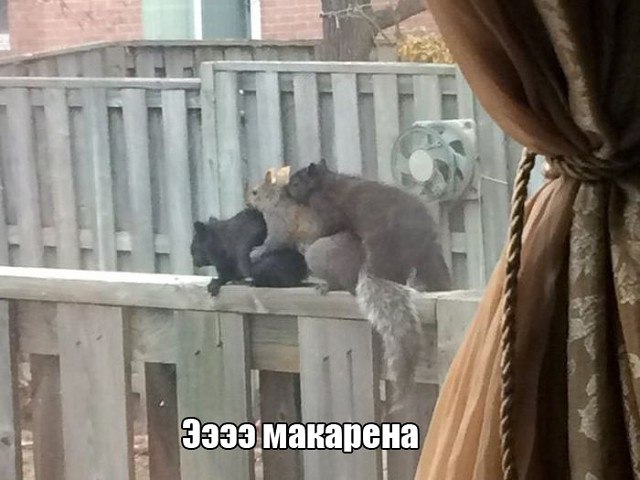   - 15  2016  13:47
