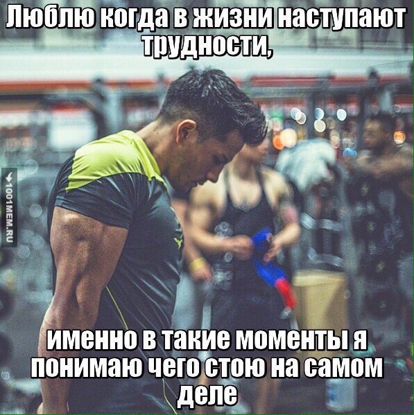  -   - 15  2016  15:33