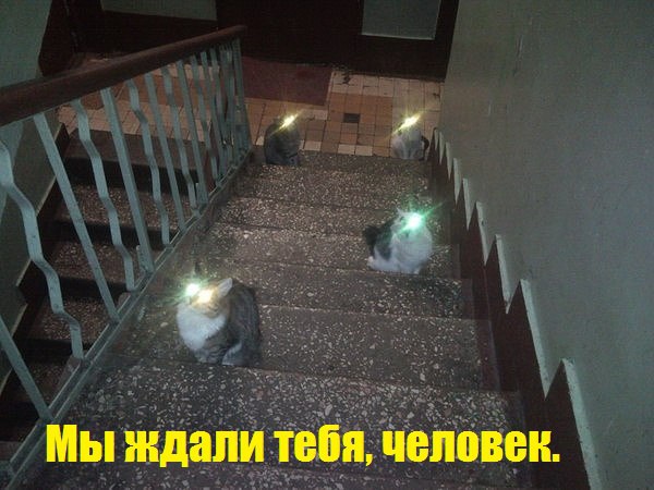 �������� �������� - 12 ������ 2016 � 23:17