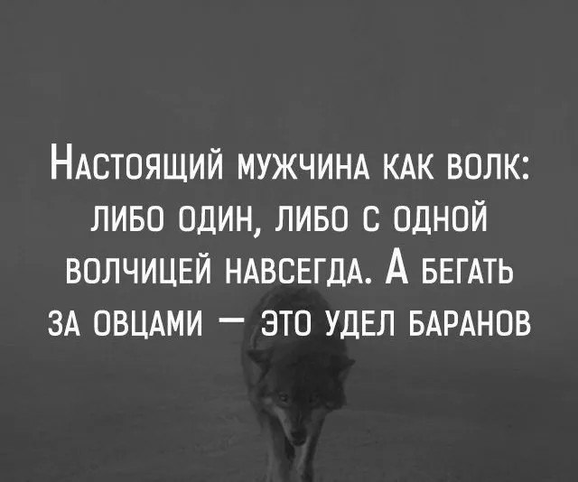 .https://fotostrana.ru/away?to=/sl/kxC2 - 2  2016  15:58