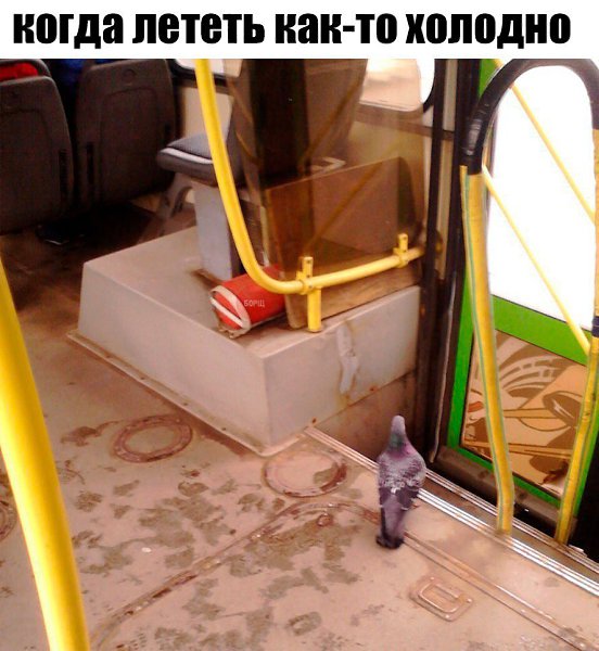    - 6  2016  08:19