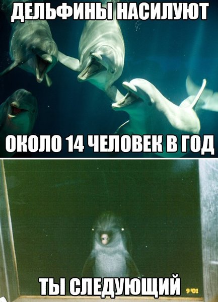  - 20  2016  20:21