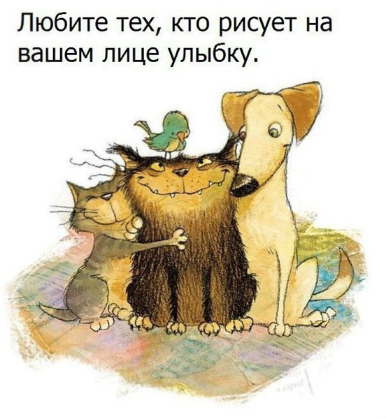 LIFE -  - 19  2016  22:58