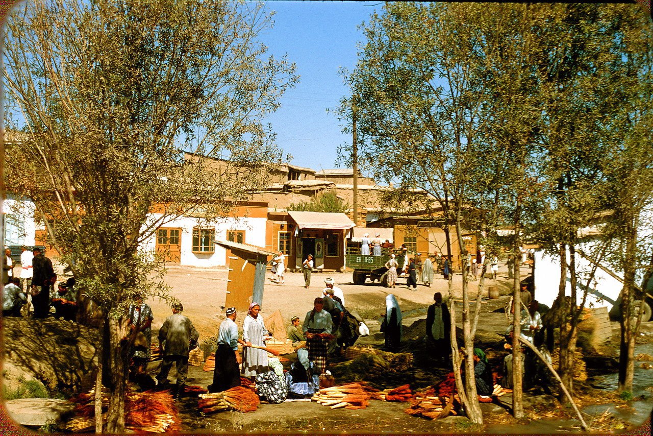  1956 .     . - 43