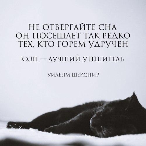 LIFE -  - 4  2017  16:26
