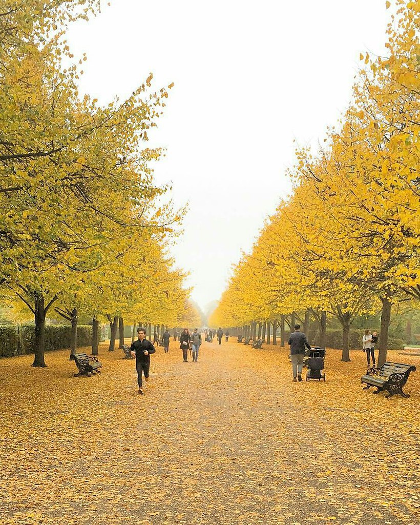 London, The United Kingdom - 5