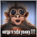 ���� ���������, ������ - ��������� 21 ������ 2016