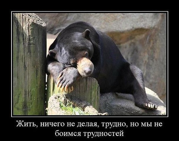 )))