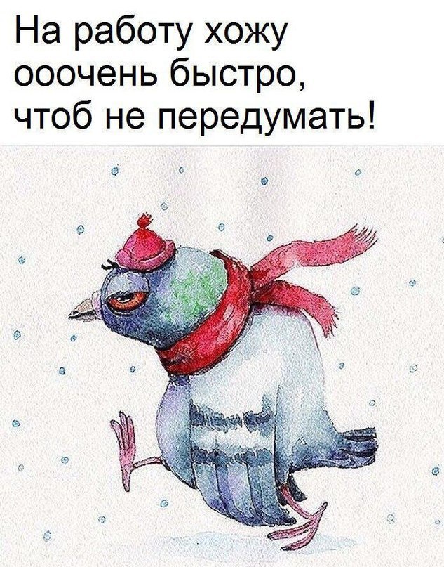     - 29  2017  12:57