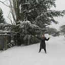  , , 73  -  28  2017    ߻