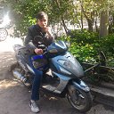  , , 52  -  31  2016    