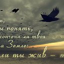 ���� Alena, ������ - ��������� 28 �������� 2016 � ������ ������ ��������