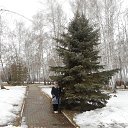 ���� ������, ��������� - ��������� 27 ������� 2016 � ������ ������ ��������