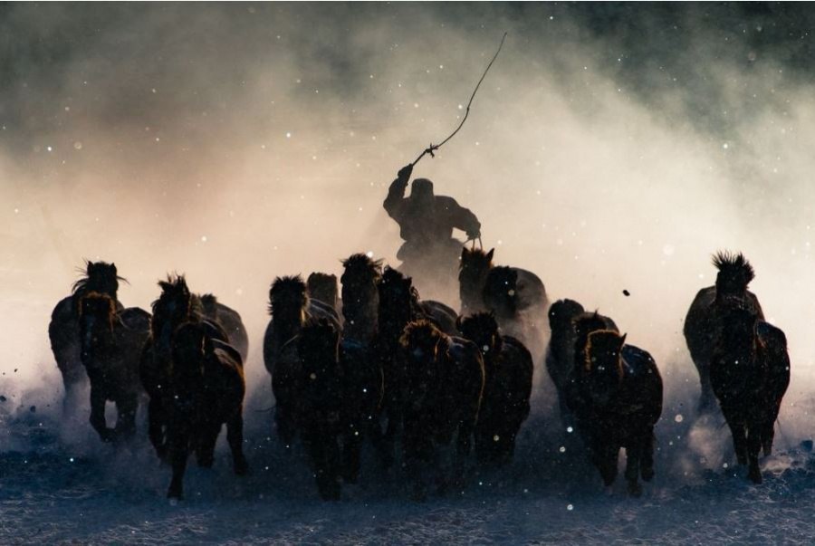  National Geographic Travel Photographer 2016.  ,   ...