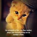 ���� �������, ������ - ��������� 6 ������� 2017 � ������ ���������