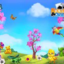 ���� ������ �����������, ���, 52 ���� - ��������� 18 ����� 2017 � ������ �������� �������-�������