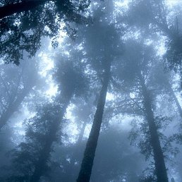 Sun, ������, 40 ���