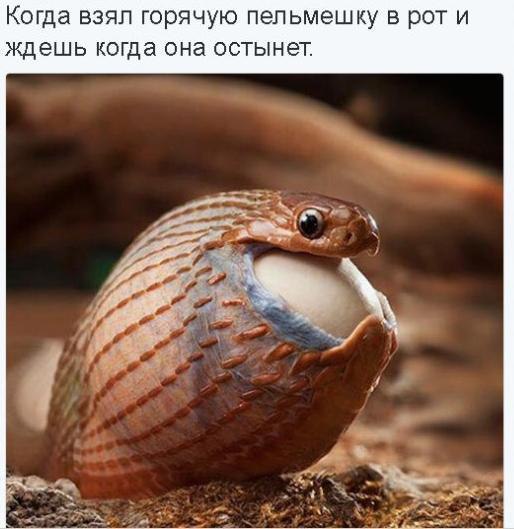    :D - 13  2017  15:10