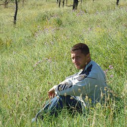 ������, �����������, 49 ���
