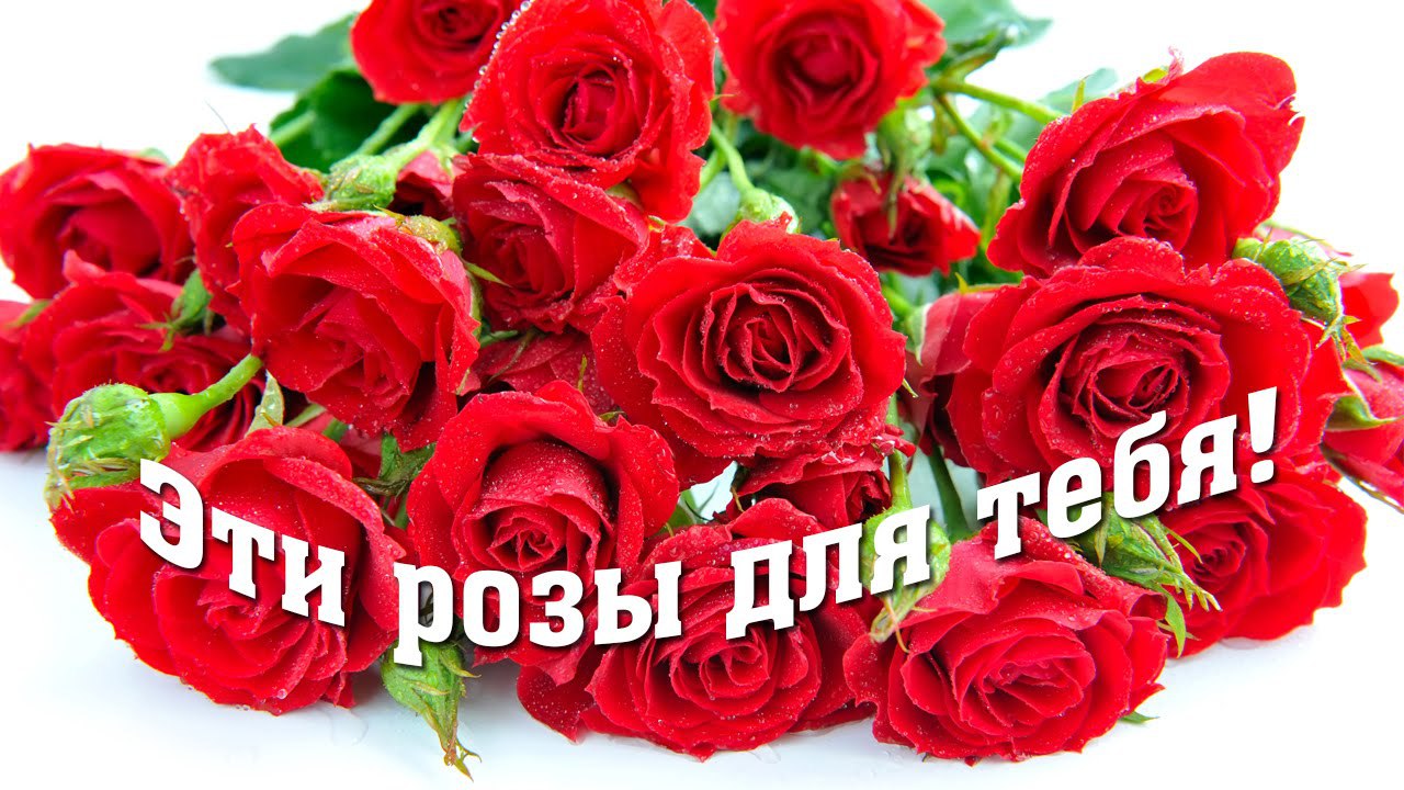 Armen - 27 марта 2017 в 14:38