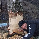 ���� ����, �����������, 40 ��� - ��������� 13 ������� 2016 � ������ ���� ����������