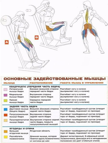 Качаем ноги в тренажерном зале для мужчин на массу