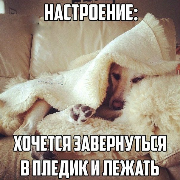    - 22  2017  18:45