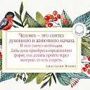  Yulia ,  -  19  2017    