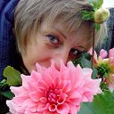 ���� �������, ����������, 52 ���� - ��������� 20 ������ 2017 � ������ ���� ����������