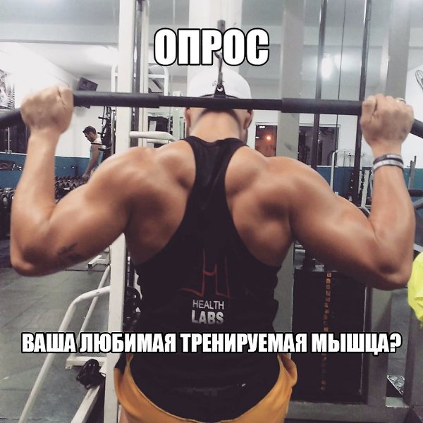  -   - 13  2017  18:00