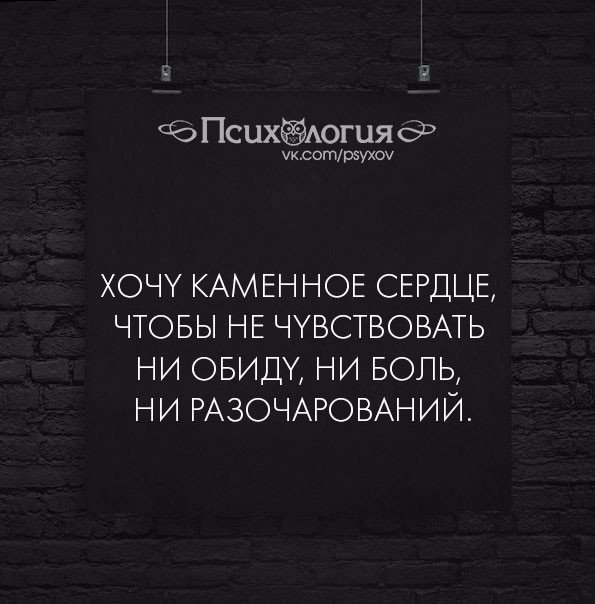 ���������� - 15 ����� 2017 � 20:19