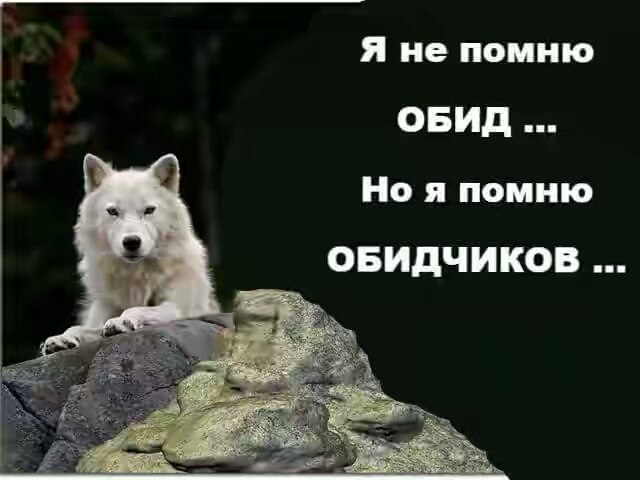   - 13  2017  07:47