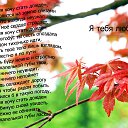 ���� ���������, ������, 44 ���� - ��������� 8 ������� 2016 � ������ ���� �����