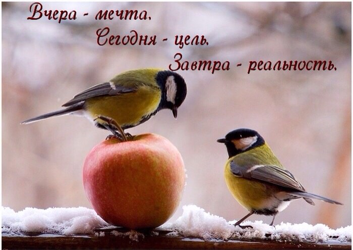   - 10  2016  12:22